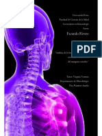 Evaluaciones Musculares Del MS