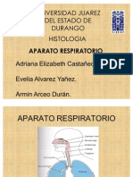 Histologia Aparato Respiratorio