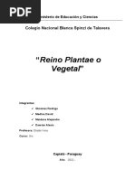 Reino Vegetal