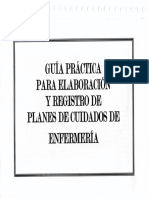 Guia Practica para Elabioracion y Registro Enfermero