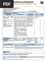 15-08 Caracteristicas de Una Planta La Raiz