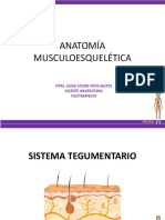 Sistema - Tegumentario