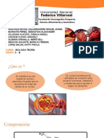 Biologia Colesterol Enemigo o Amigo