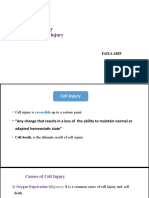 Mechanism of Cell Injury - Types