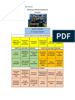 Evidencia Matriz Del Proceso Adaptativo