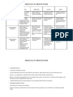 Muscles of Mastication