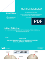 3sem - 2 SESION - PRACTICA Morfofisiologia Cabeza, Cuello y Tronco Hecho