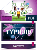 Typhoid Disease