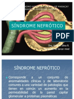 Sindrome Nefrotico 1220730502816091 9