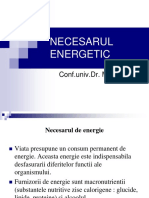 Necesarul Energetic