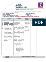 Sesion Ciencia - La Fotosintesis de Las Plantas-18-08.22