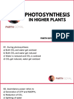 Photosynthesis 90 Questions