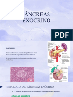 Pancreas