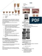 Oral Path Lab-Traumatic Injuries of The Teeth