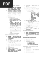 Introduction To Mycology (Side Notes)