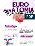 Resumen Neuroanatomía y Fisiología