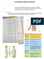 Anatomy Reviewer 1