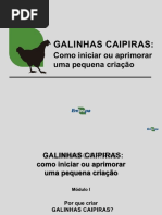 Mod - 1 - Por Que Criar Galinhas Caipiras A