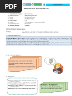 Experiencia de Aprendizaje N°7