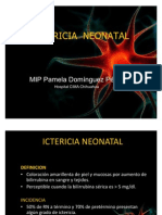 Ictericia Neonatal2