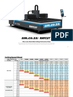 Raycut Fiber Laser Performance