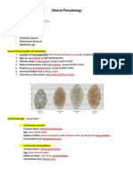 Trematodes - Trans