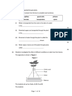 Transpiration Exam Practice Questions