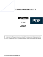 Non Efb Performance Data Ceo