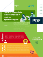 Historia Natural y Cadena Epidemiológica