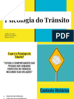 Final Psicologia Do Trânsito