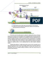 DNA Replication and Repair