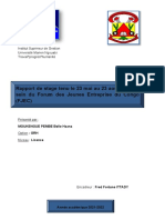 Rapport de Stage Tenu Le 23 Mai Au 23 Aout 2022 Au Sein Du Forum Des Jeunes Entreprise Du Congo (FJEC)