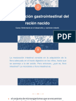 Maduración Gastrointestinal