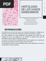 Histología de Los Vasos Sanguineos