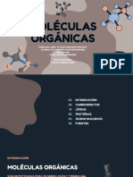 Presentación de Moléculas Orgánicas