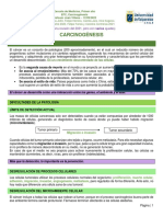 Carcinogénesis PDF