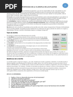 2° - Act. 4 - Importancia de La Clorofila en Las Plantas