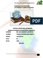 Trabajo de Derecho Internacional Ambiental