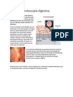 Fisiopatologia 2021