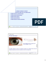 EFB-1. Microscopia-2022-Elearning