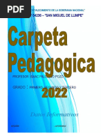 9.-Carpeta Pedagogica 2020