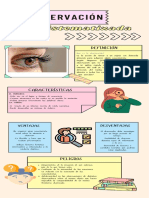 Observación No Sistematizada