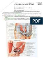 Pathologie Chirurgicale Rabat