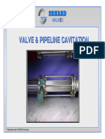 Valve & Pieline Cavitation (By Erhard Valve Co.)