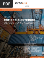 Boletin Comercio Exterior de Cuero y Calzado 2019 Citeccal Lima