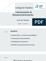 Aula 6 - Treinamento e Desenvolvimento