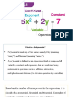 POLYNOMIALS