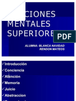 Funciones Mentales Superiores