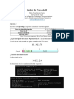 Análisis Del Protocolo IP