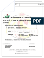 Resume de Myologie Du Membre Inferieur'